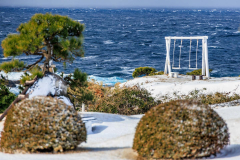 300711f699729c5b93af917616cd4c61