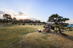 42d163cd35a0b7f1eadd02dd877ace45